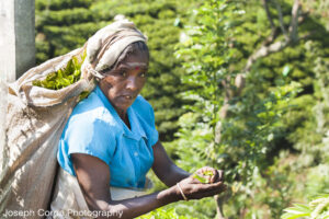 India Trip_05