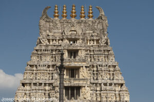 India Trip_09