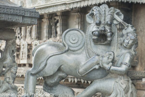 India Trip_10