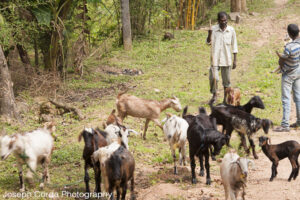 India Trip_12